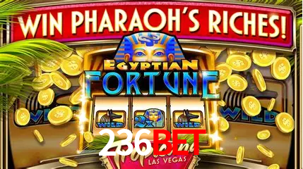 Bônus após cadastro na 236BET